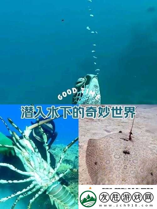 海-角-內-射：探索未知的海域