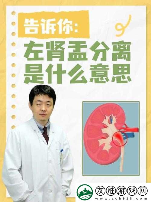 優質液體收集系統-P-如何工作：液體分離與凈化的科學原理