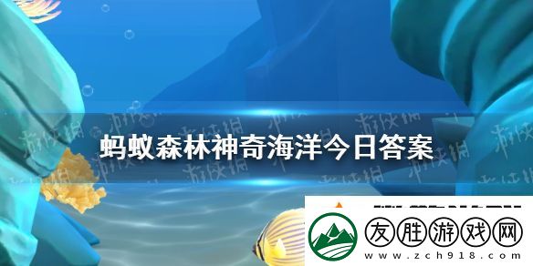 猜一猜海仙人掌是以下哪種海洋生物