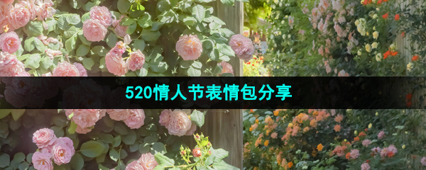 抖音520有哪些表情包-520表白表情包有哪些-520玩梗表情包有哪些