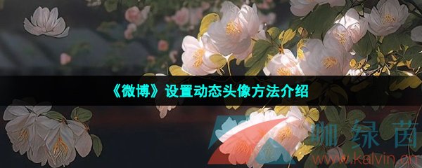 《微博》設置動態頭像方法介紹