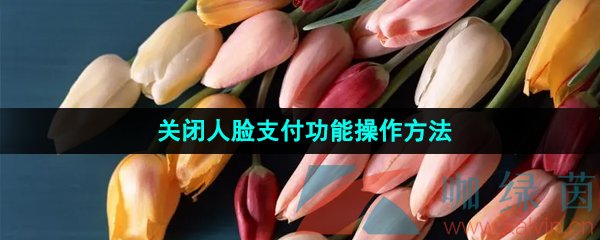 淘寶人臉支付功能怎么關閉-關閉人臉支付功能操作方法