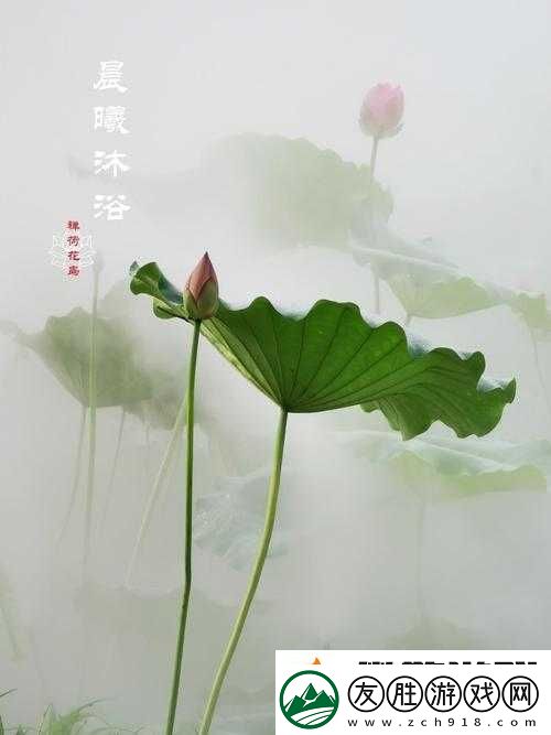 半脫蓮房露壓欹：探尋古詩詞中獨特意象的魅力所在