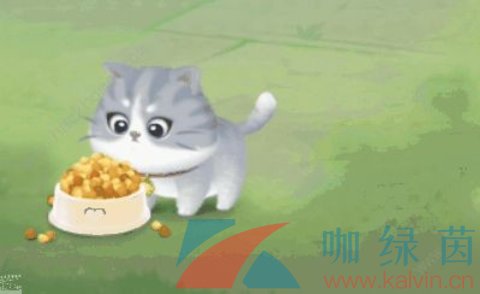 《向往的生活》寵物獲取方法介紹