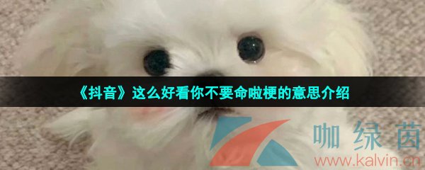 抖音這么好看你不要命啦是什么梗-這么好看你不要命啦梗的意思介紹