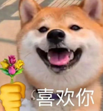 《抖音》這么好看你不要命啦梗的意思介紹