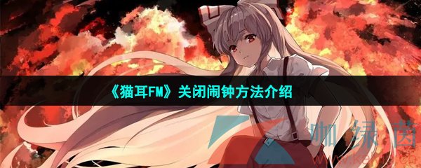 貓耳FM怎么取消鬧鐘-關閉鬧鐘方法介紹