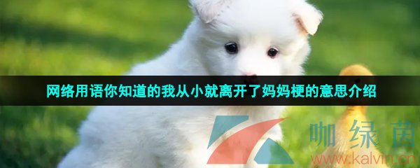 你知道的我從小就離開了媽媽是什么梗-你知道的我從小就離開了媽媽梗的意思介紹