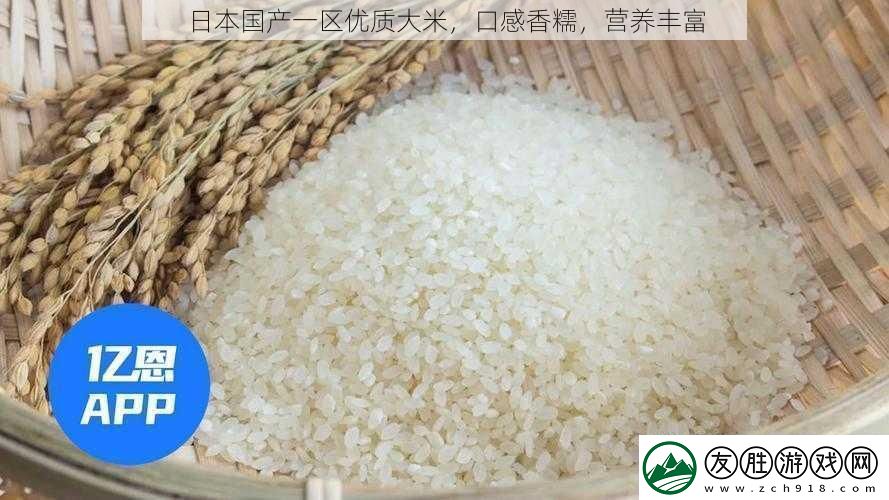 日本國產(chǎn)一區(qū)優(yōu)質(zhì)大米-口感香糯-營養(yǎng)豐富