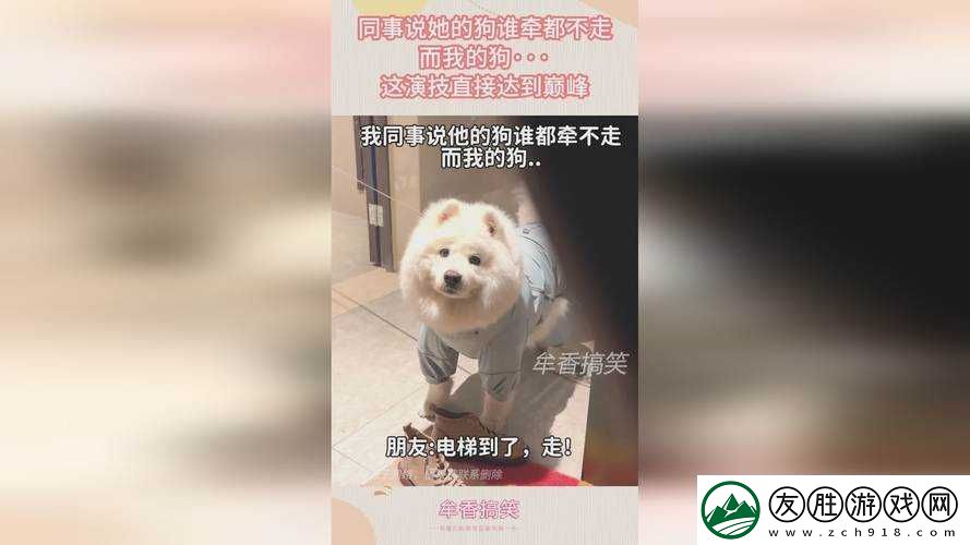 仙蹤