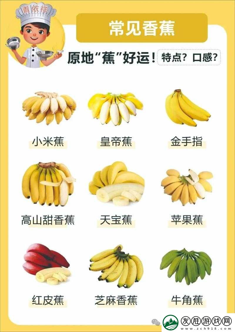 香蕉頻蕉app