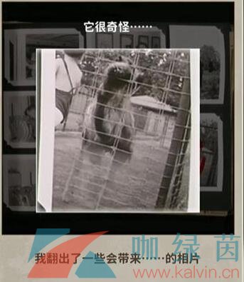 《看不見的真相》被藏匿的照片通關攻略