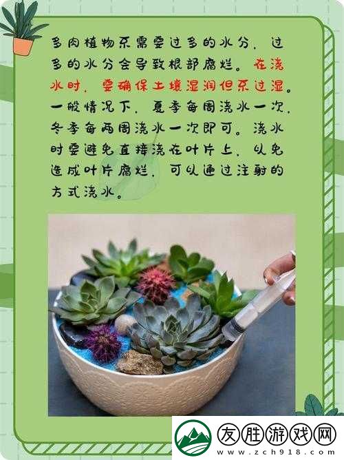 皇家共享小公主多肉怎么養(yǎng)