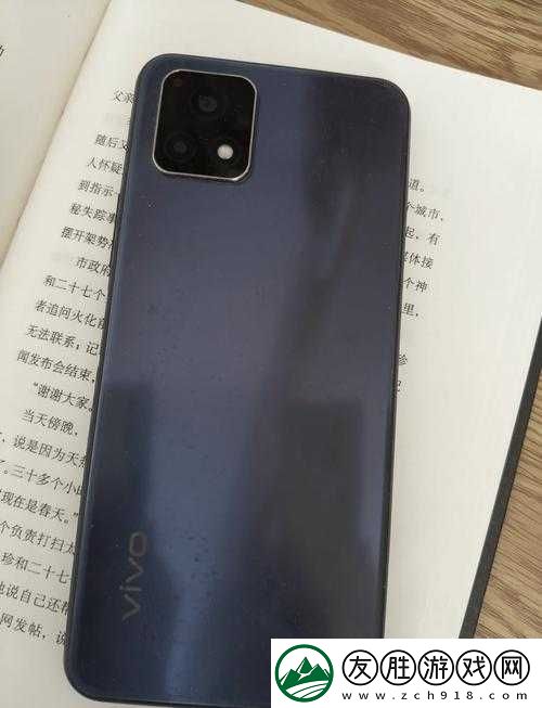 一級成色好的-y31s-標準版圖片展示其精致外觀與強大性能