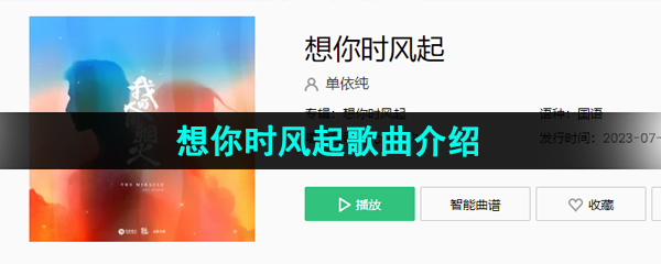 《抖音》想你時風起歌曲介紹