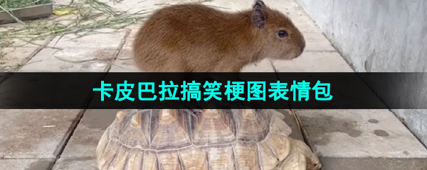 《抖音》卡皮巴拉搞笑梗圖表情包分享