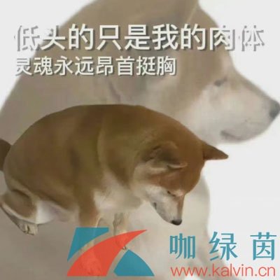《抖音》citywalk梗的意思介紹