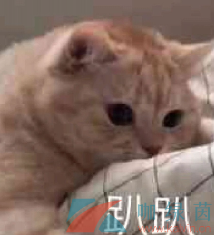 《抖音》夾子音和氣泡音誰更勝一籌梗的意思介紹