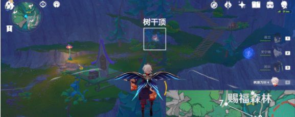 《原神》4.8賜福森林歡聲飛羽收集位置