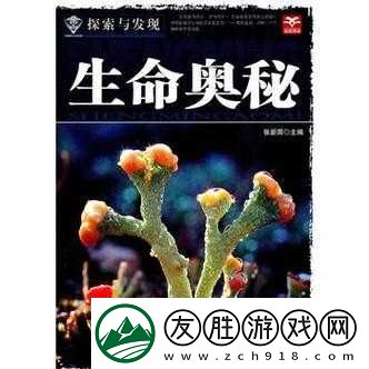 男人精
