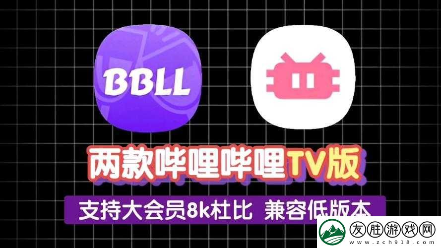 少女視頻觀看片