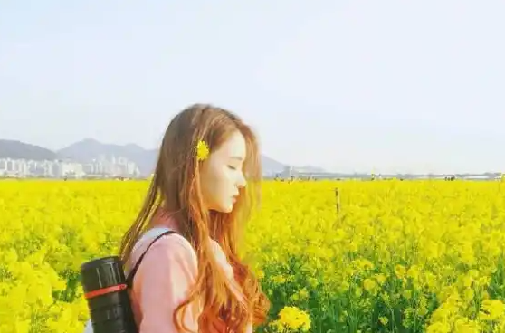 抬頭看鏡子里的接合處雙男主：鏡面中的你我故事